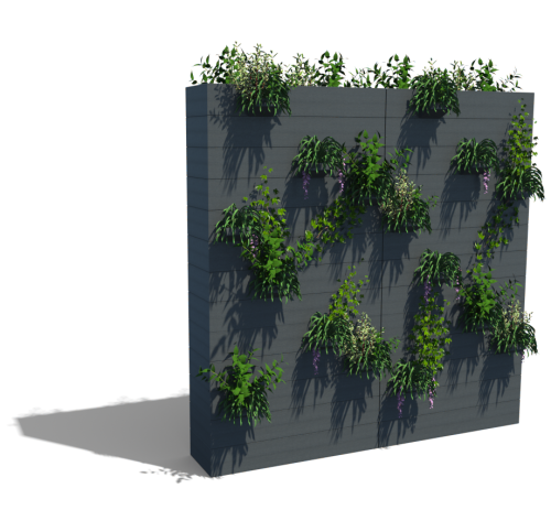 MUR VÉGÉTALISÉ